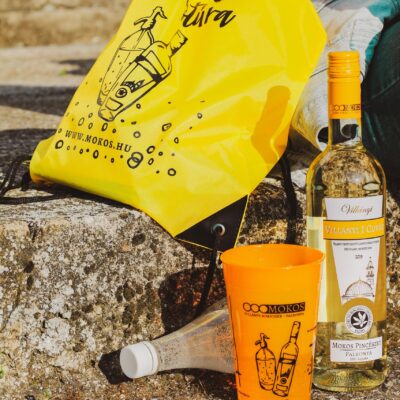 MOKOS_Pinceszet_Froccstura_Szabadteri_Kalandjatek_Villanyi_borvidek_Palkonya (6)