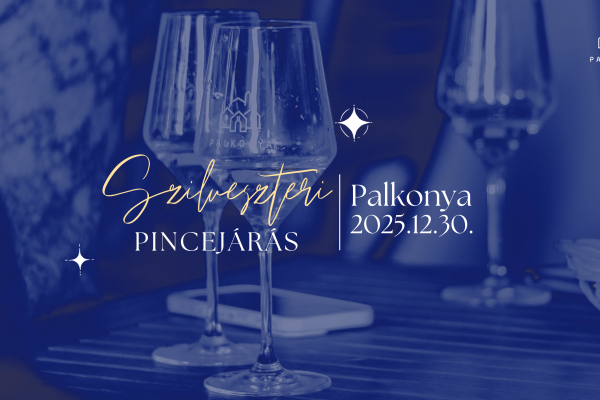 SzilveszteriPincejaras2025